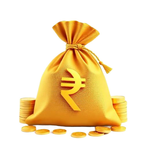 Money bag
